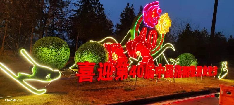 洛阳牡丹花会发光造型